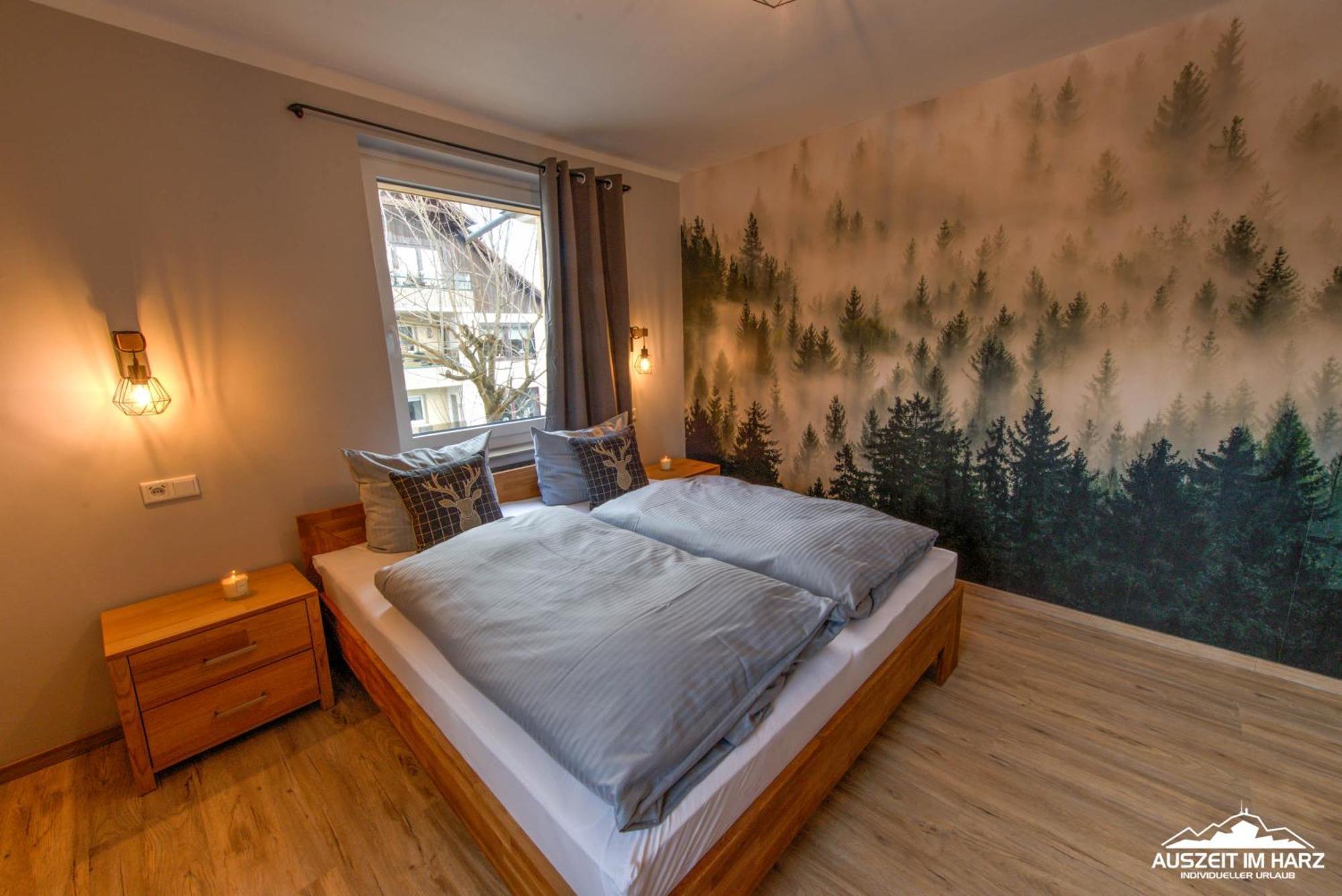 Auszeit-Im-Harz Haus 3 Wohnung 3 Braunlage Exterior foto