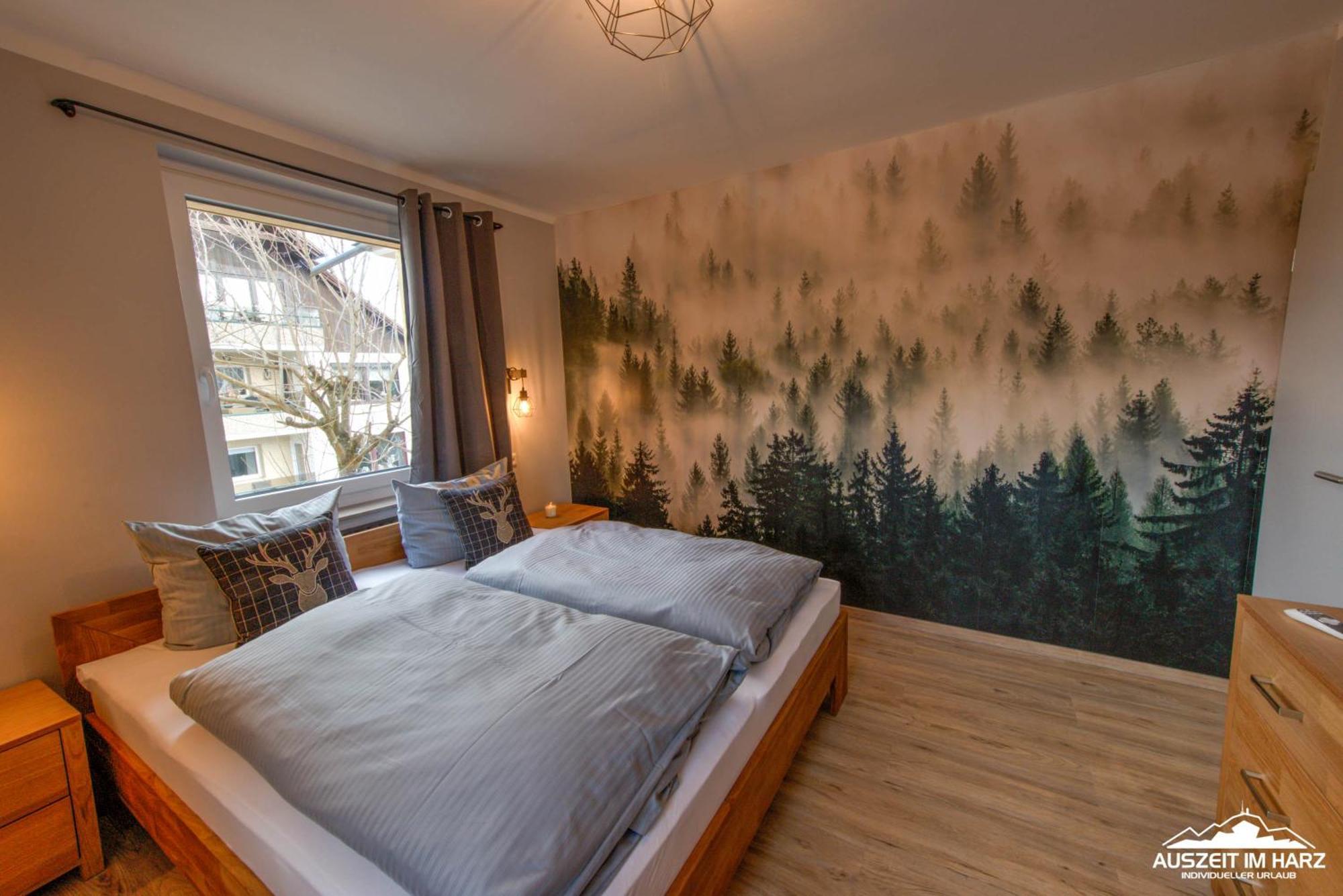 Auszeit-Im-Harz Haus 3 Wohnung 3 Braunlage Exterior foto